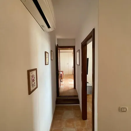Il Leccio 10